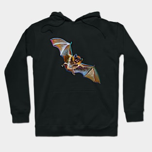 Spooky Bat Pattern with Stars by Robert Phelps Hoodie